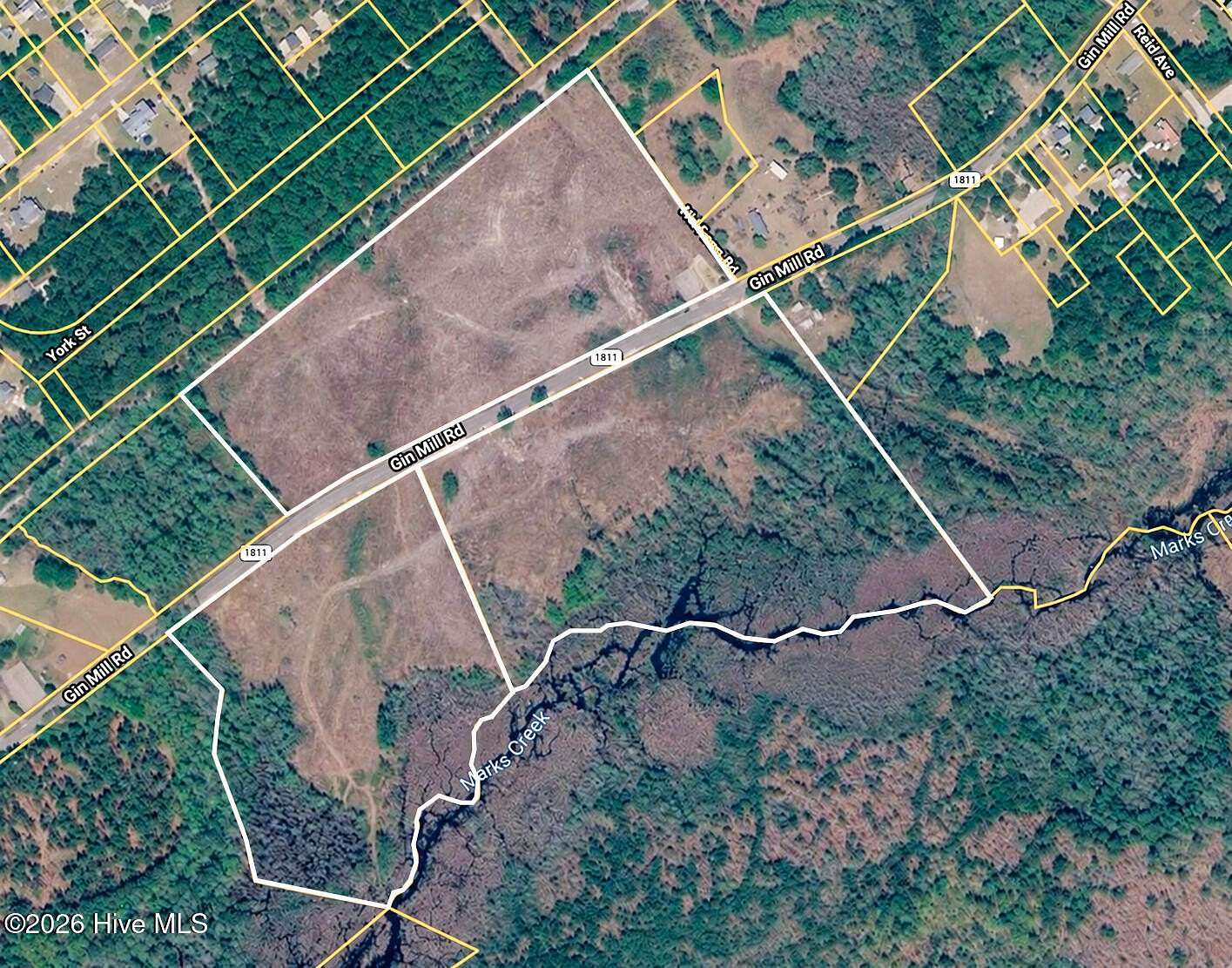 55 Acres of Recreational & Residential Land for Sale in Hamlet, North Carolina