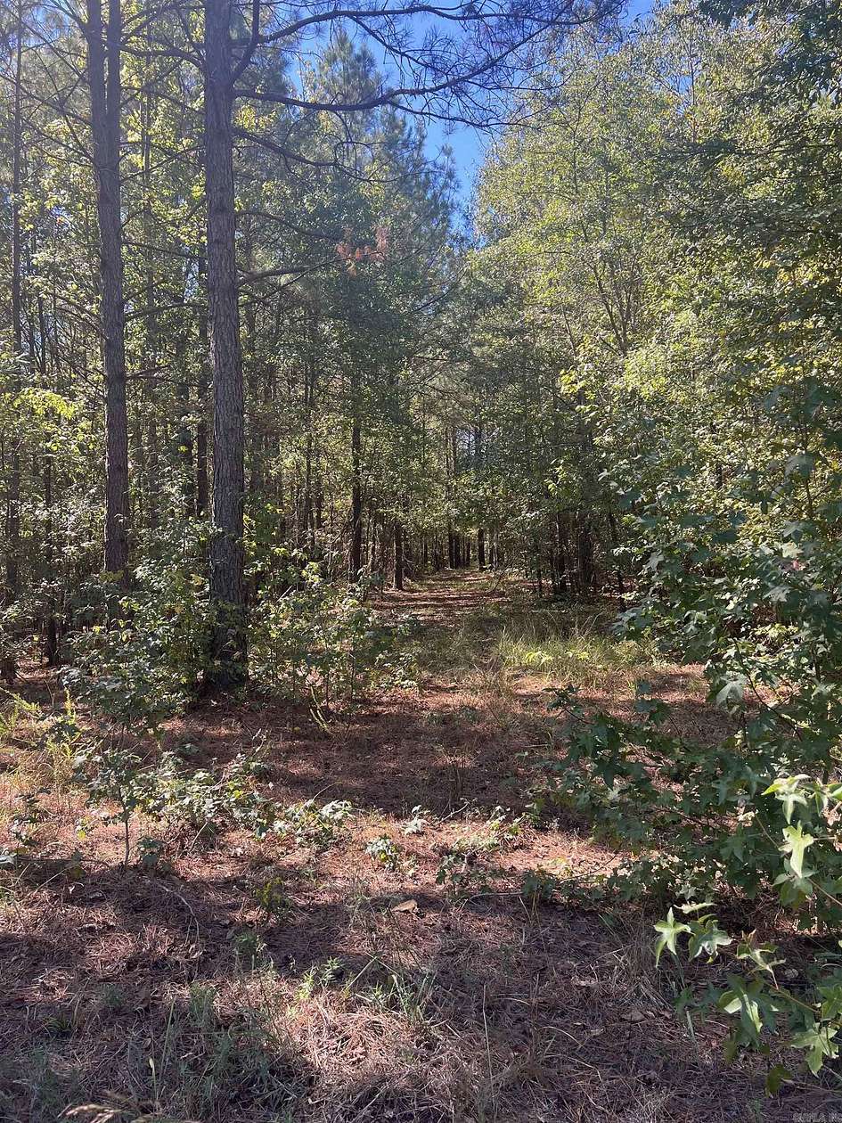 3.22 Acres of Land for Sale in Glenwood, Arkansas