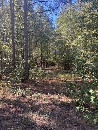 3.22 Acres of Land for Sale in Glenwood, Arkansas