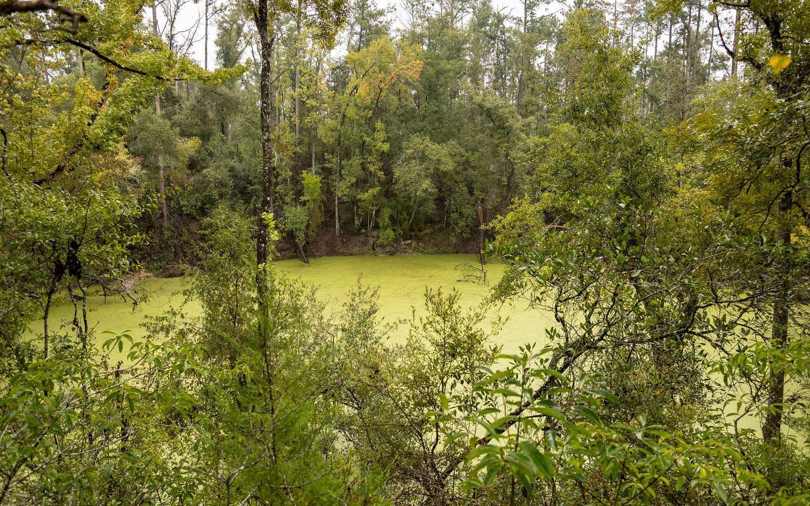 4.1 Acres of Residential Land for Sale in Live Oak, Florida