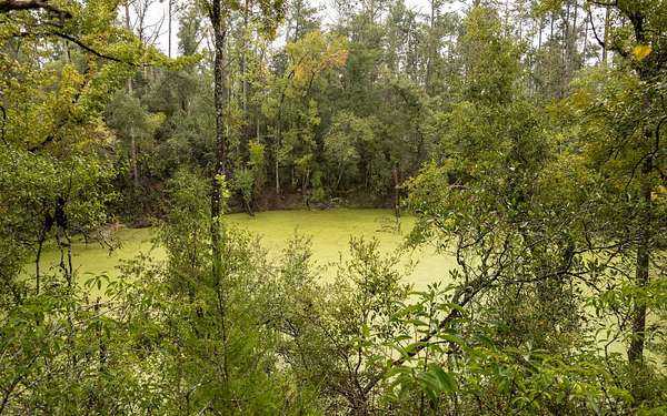 4.1 Acres of Residential Land for Sale in Live Oak, Florida