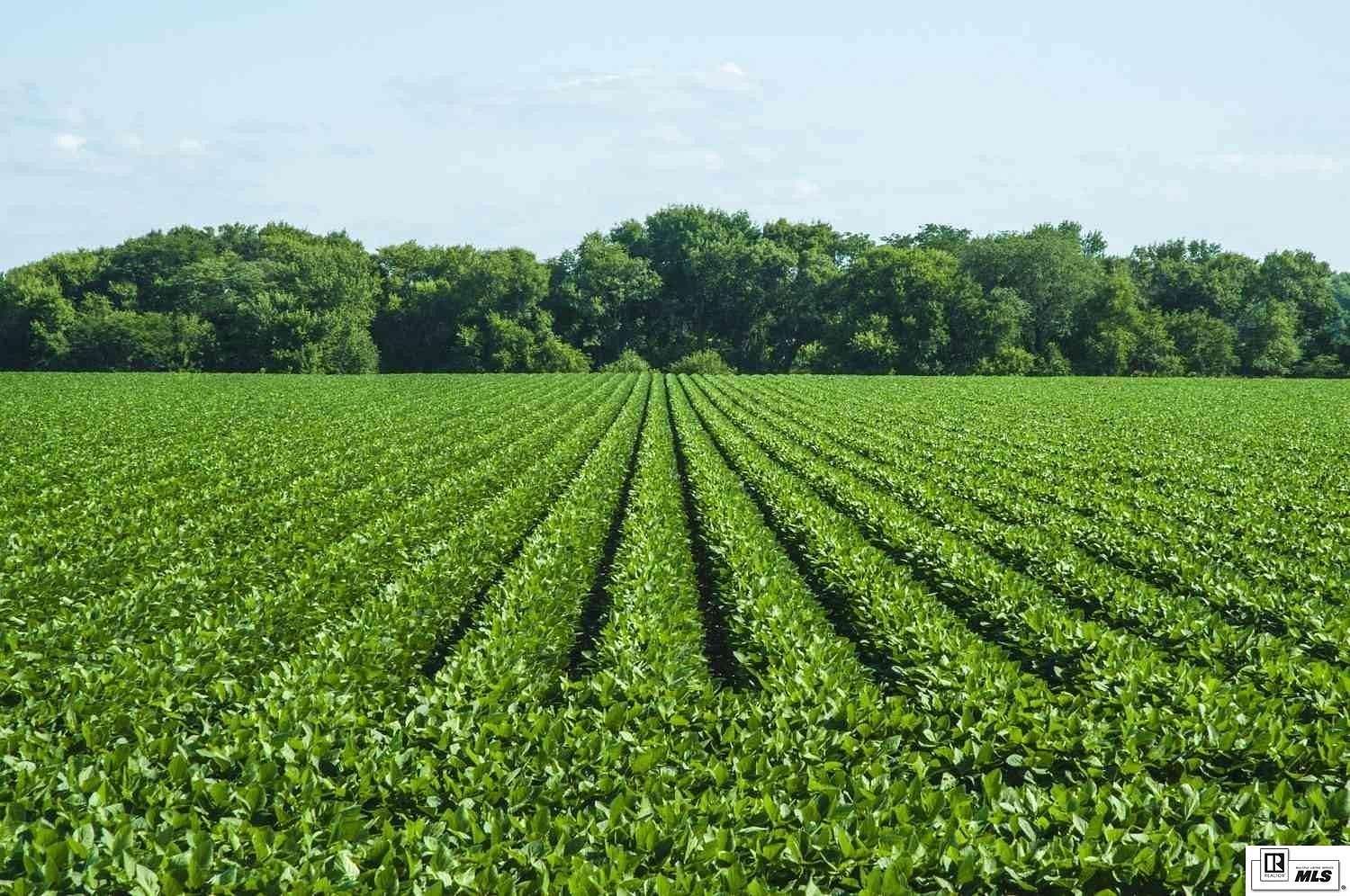 1,441 Acres of Agricultural Land for Sale in St. Joseph, Louisiana