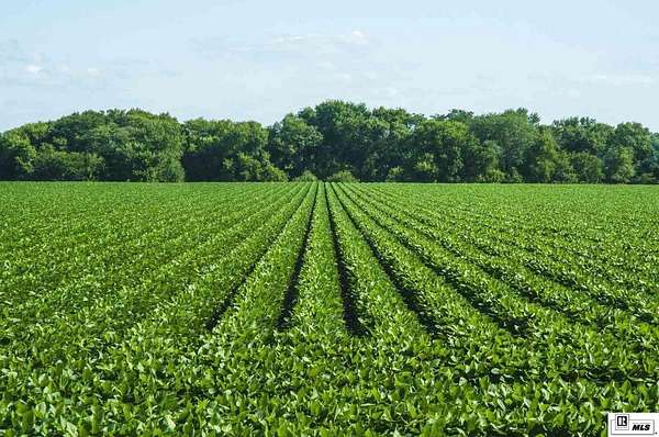 1,441 Acres of Agricultural Land for Sale in St. Joseph, Louisiana