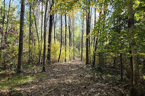 5 Acres of Land for Sale in Crandon, Wisconsin