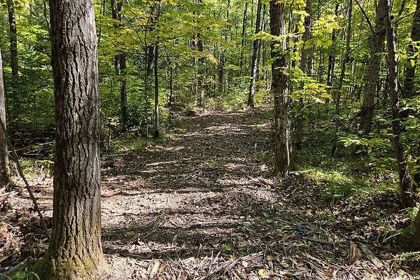 2.83 Acres of Land for Sale in Crandon, Wisconsin