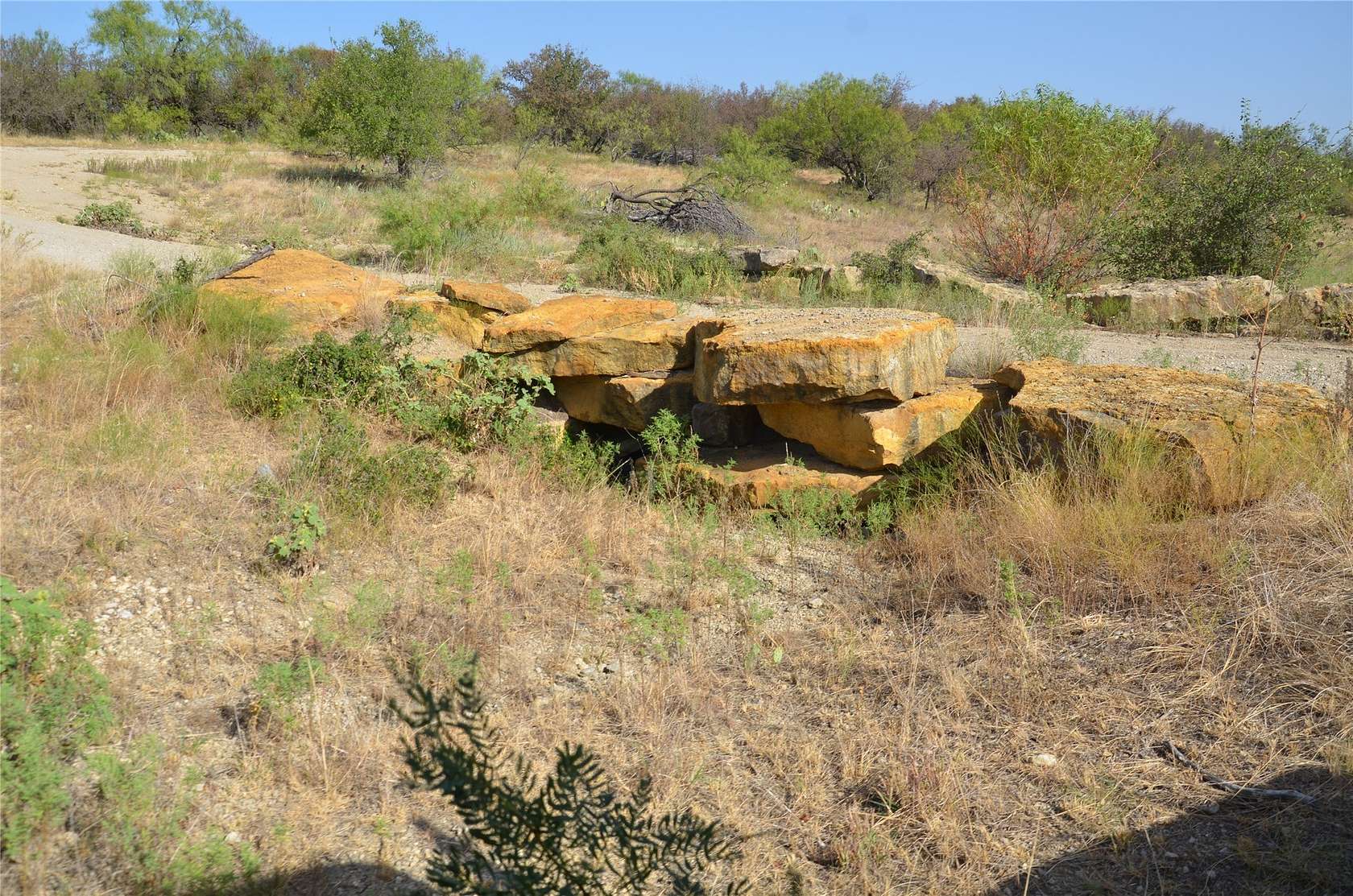 555 Acres of Land for Sale in Baird, Texas