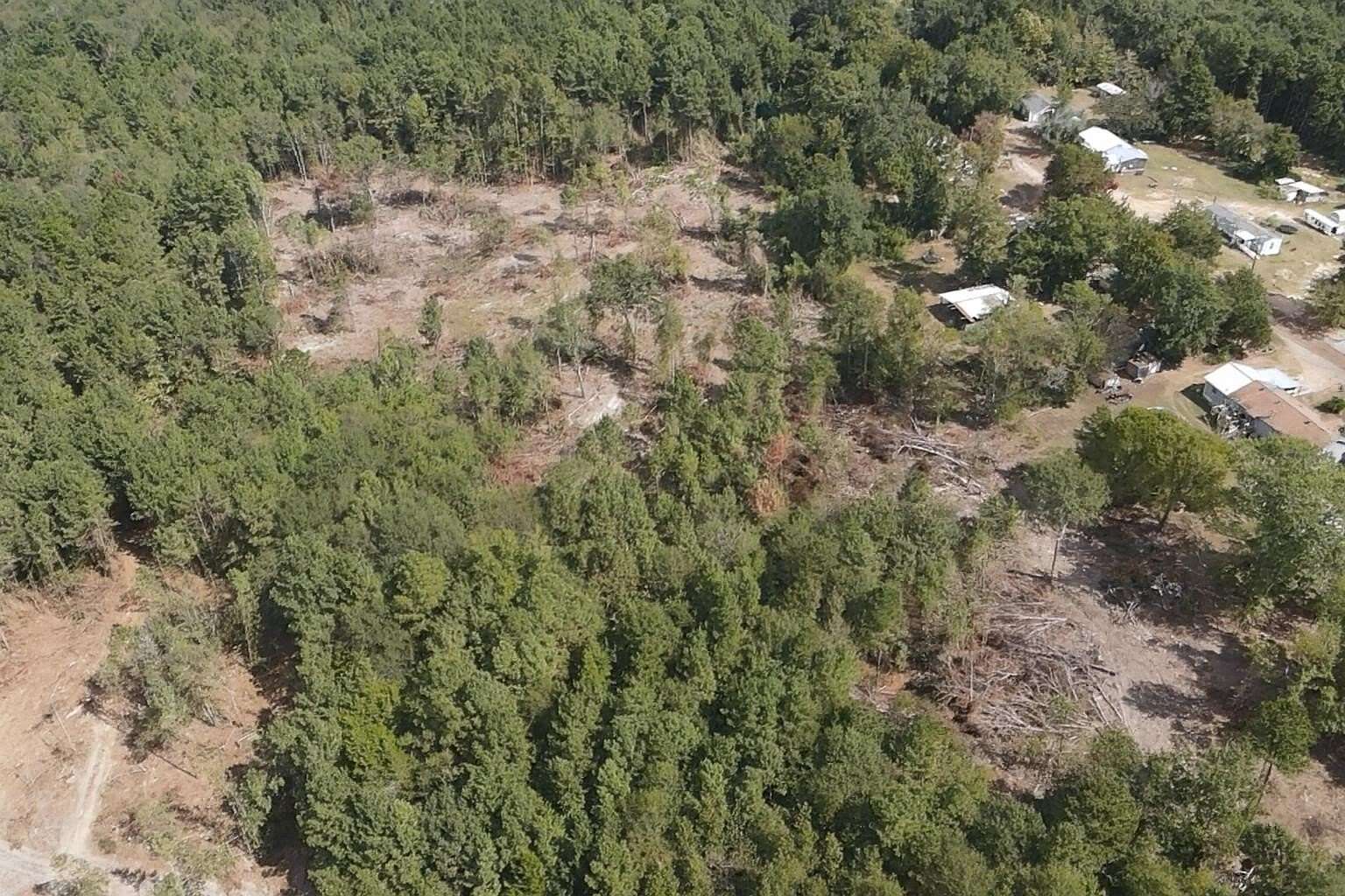 24.6 Acres of Land for Sale in Overton, Texas