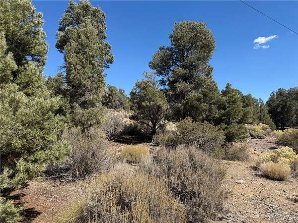 0.44 Acres of Residential Land for Sale in Big Bear City, California