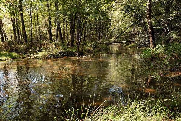 24 Acres of Land for Sale in Ellijay, Georgia