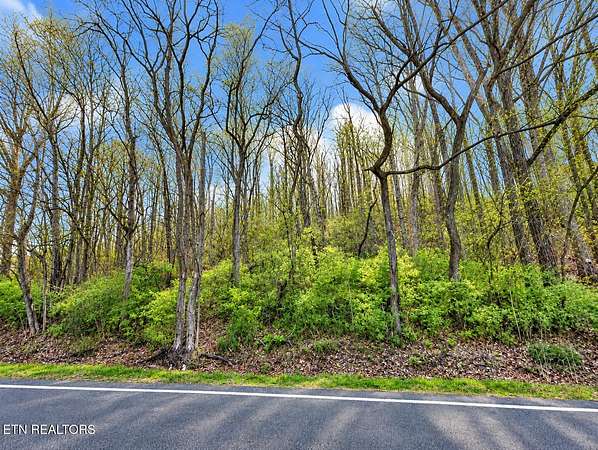 1.1 Acres of Residential Land for Sale in Sweetwater, Tennessee