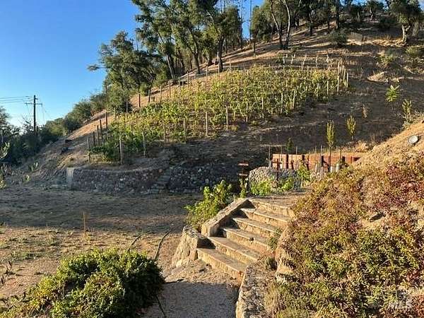 1.14 Acres of Residential Land for Sale in St. Helena, California