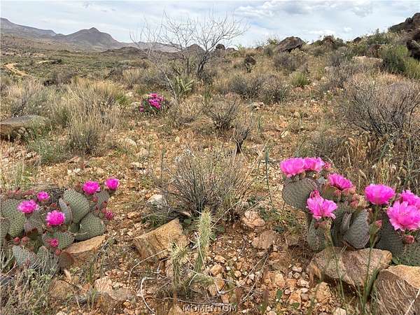 320 Acres of Agricultural & Residential Land for Sale in Kingman, Arizona