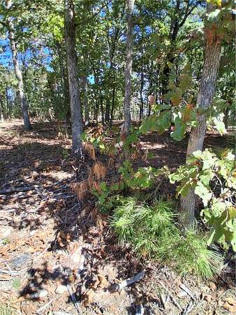 0.3 Acres of Land for Sale in Bella Vista, Arkansas
