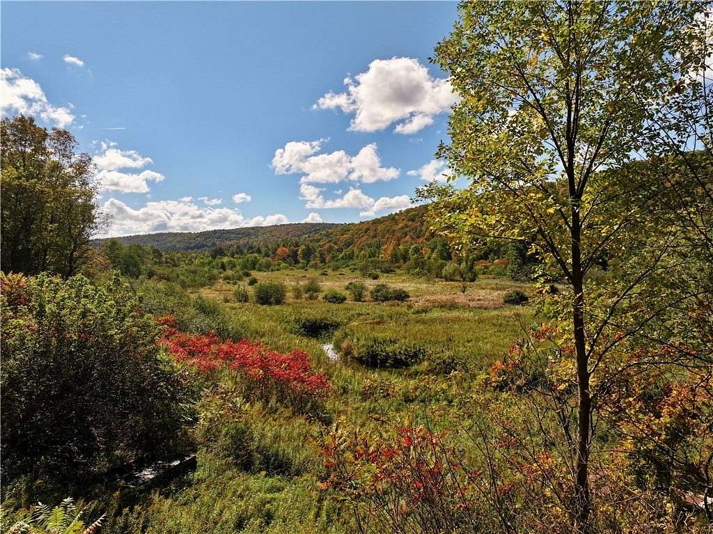 40.4 Acres of Recreational Land for Sale in Spencer, New York