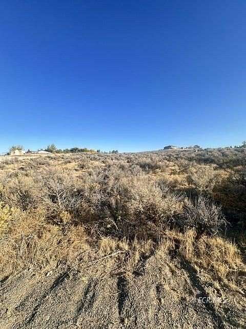 2 Acres of Residential Land for Sale in Spring Creek, Nevada