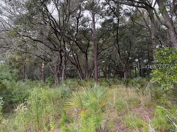 0.53 Acres of Residential Land for Sale in Daufuskie Island, South Carolina
