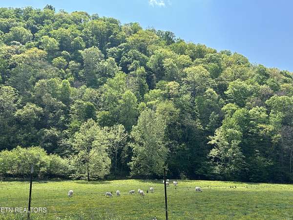 78 Acres of Land for Sale in Sneedville, Tennessee