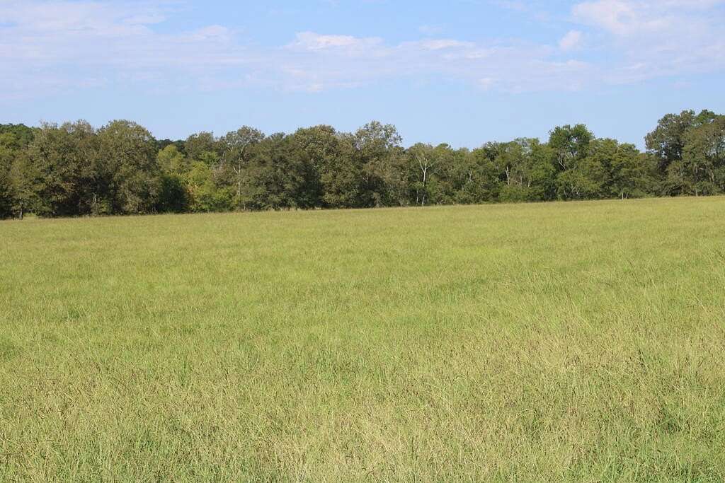 62 Acres of Land for Sale in Corrigan, Texas