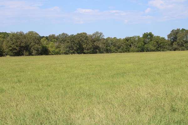62 Acres of Land for Sale in Corrigan, Texas