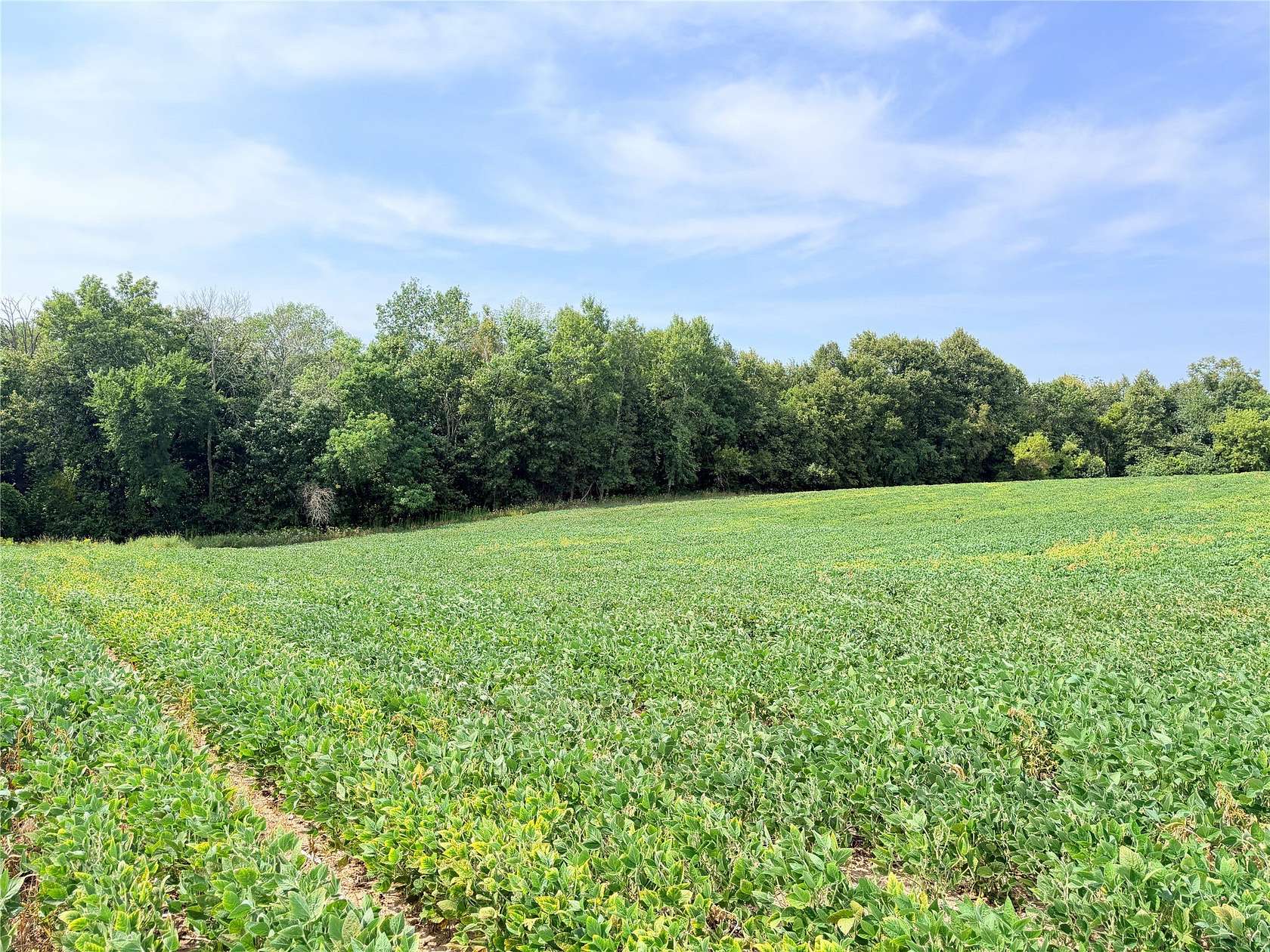10 Acres of Recreational & Residential Land for Sale in St. Croix Falls, Wisconsin