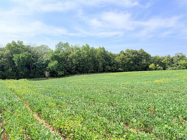 10 Acres of Recreational & Residential Land for Sale in St. Croix Falls, Wisconsin