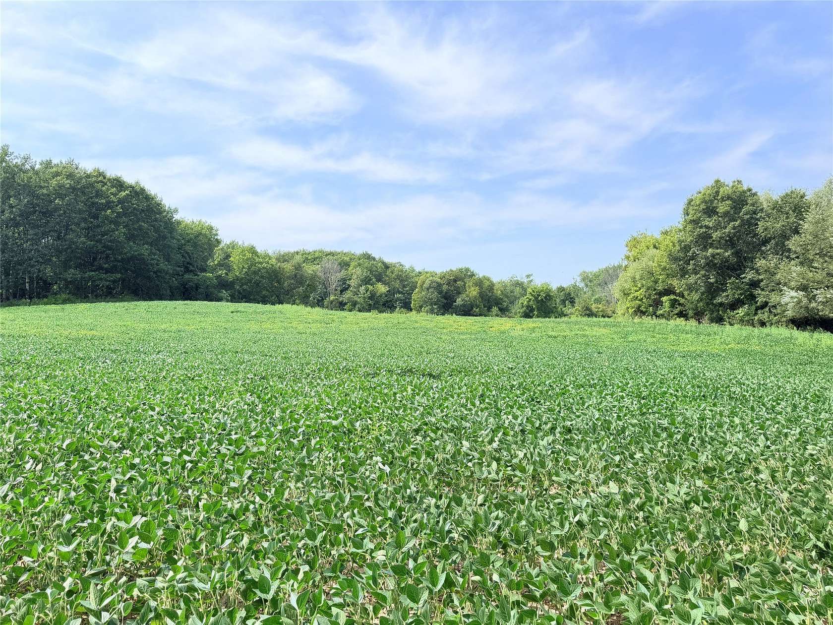 10 Acres of Recreational & Residential Land for Sale in St. Croix Falls, Wisconsin