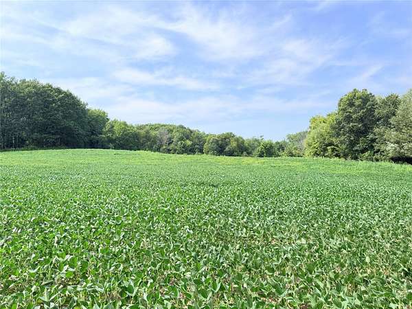 10 Acres of Recreational & Residential Land for Sale in St. Croix Falls, Wisconsin