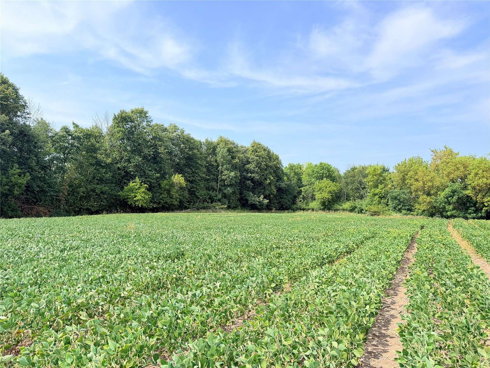 12 Acres of Recreational & Residential Land for Sale in St. Croix Falls, Wisconsin