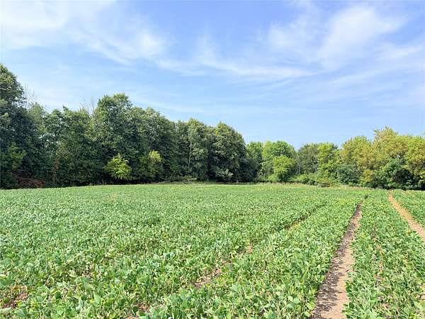 12 Acres of Recreational & Residential Land for Sale in St. Croix Falls, Wisconsin