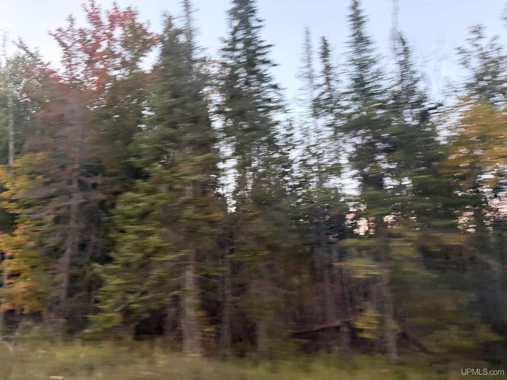 40 Acres of Recreational & Residential Land for Sale in Gulliver, Michigan