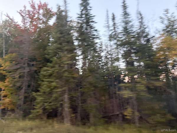 40 Acres of Recreational & Residential Land for Sale in Gulliver, Michigan