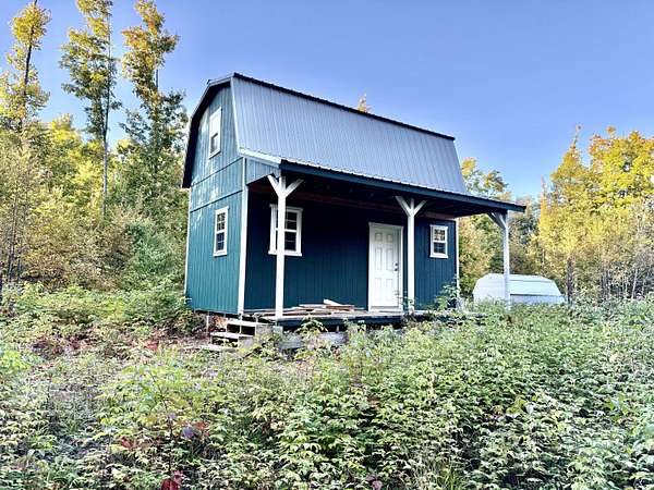 20 Acres of Recreational Land for Sale in Gaylord, Michigan