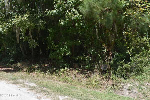 0.21 Acres of Residential Land for Sale in Blounts Creek, North Carolina