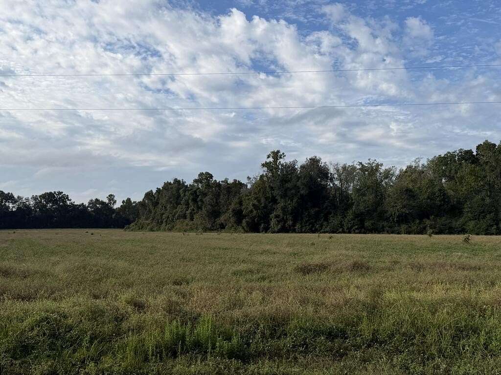 31.8 Acres of Land for Sale in Cottonwood, Alabama