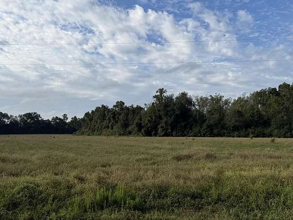 31.8 Acres of Land for Sale in Cottonwood, Alabama