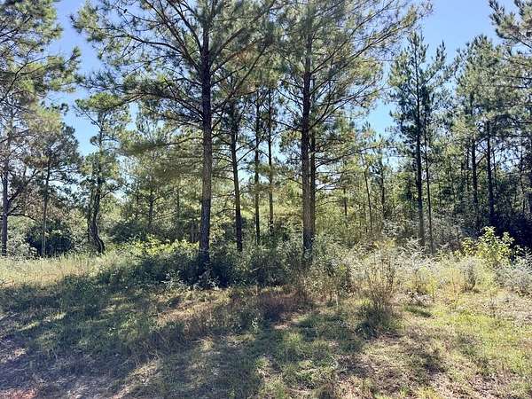 5.55 Acres of Residential Land for Sale in Carriere, Mississippi