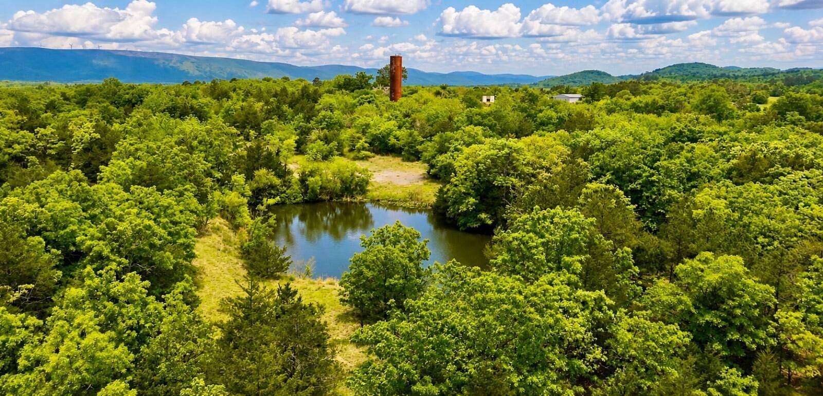 45 Acres of Recreational & Residential Land for Sale in Albion, Oklahoma
