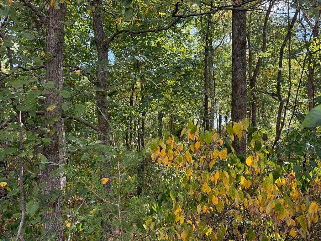 10.3 Acres of Land for Sale in Arrington, Tennessee