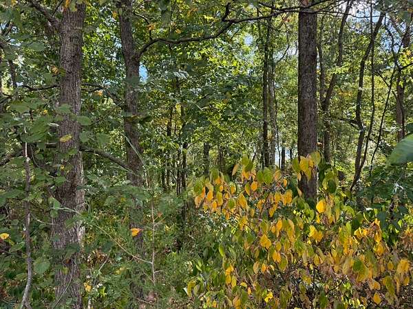 10.3 Acres of Land for Sale in Arrington, Tennessee