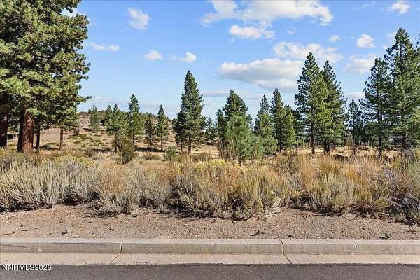 1.33 Acres of Residential Land for Sale in Reno, Nevada