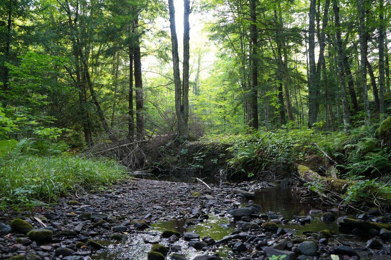 476 Acres of Recreational Land for Sale in Ironwood, Michigan