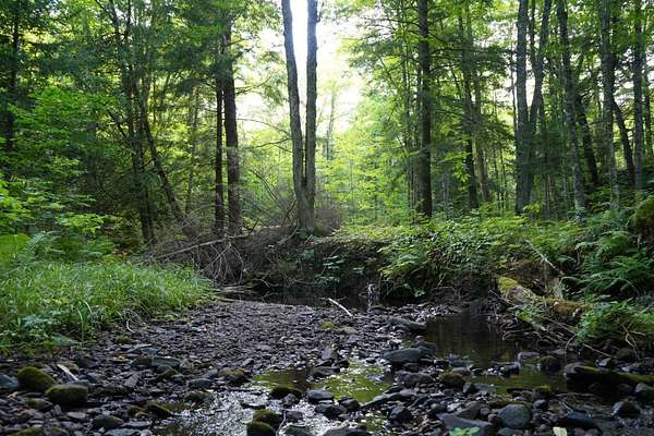 476 Acres of Recreational Land for Sale in Ironwood, Michigan