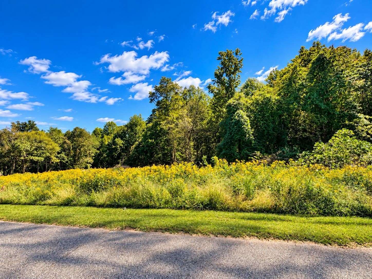0.33 Acres of Residential Land for Sale in Inman, South Carolina