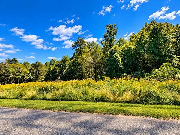 0.33 Acres of Residential Land for Sale in Inman, South Carolina