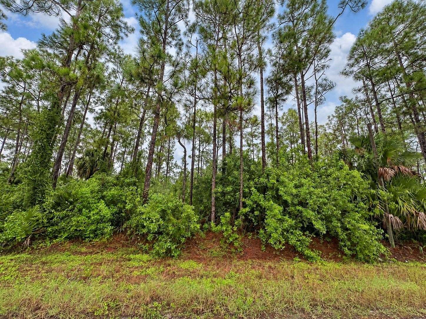 2.5 Acres of Residential Land for Sale in Naples, Florida