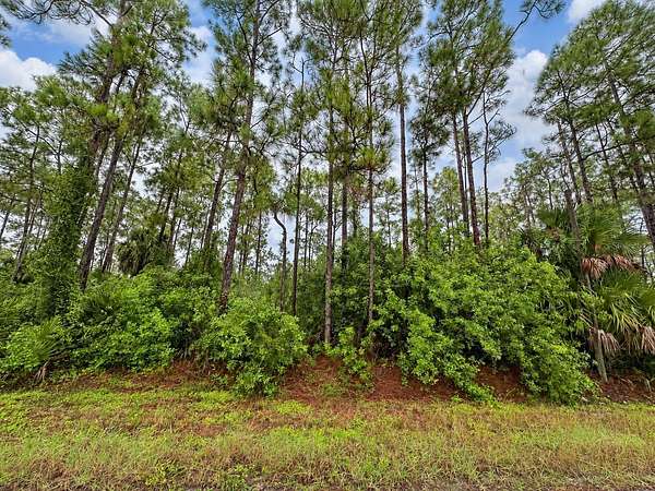 2.5 Acres of Residential Land for Sale in Naples, Florida