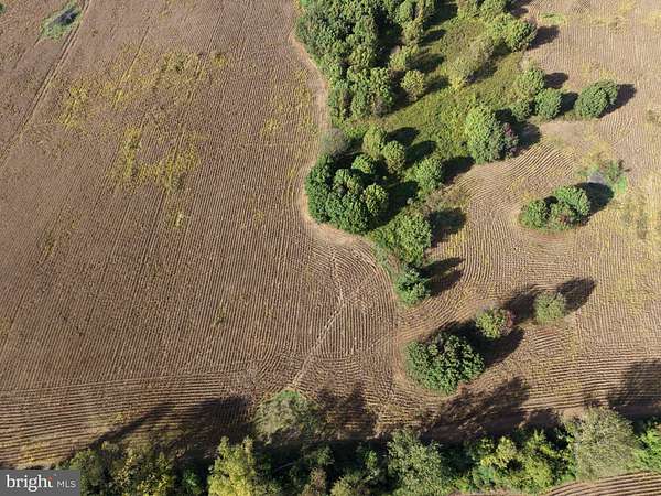 3 Acres of Residential Land for Auction in Berryville, Virginia