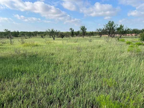 36.9 Acres of Land for Sale in Ira, Texas