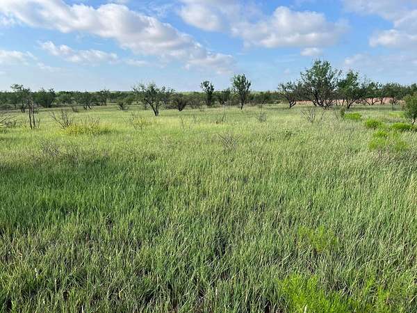 36.9 Acres of Land for Sale in Ira, Texas