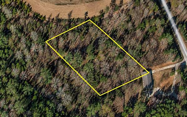 1 Acre of Residential Land for Sale in Andrews, South Carolina
